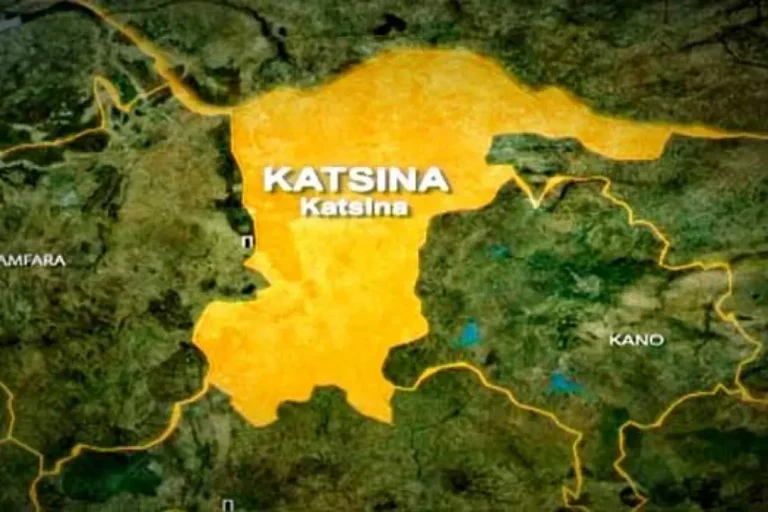 Katsina owned tertiary institutions suspend strike