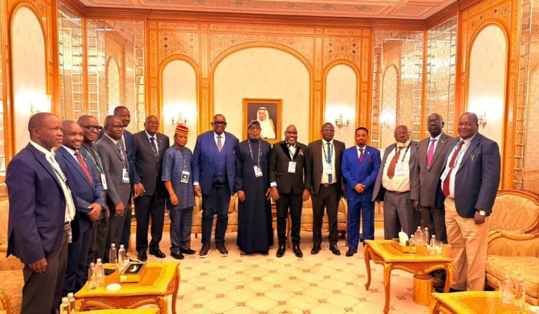 Alake Re-elected Chairman of African Minerals Strategy Group