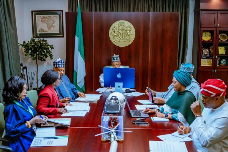NEC targets expansion of Nigeria's non-oil revenue