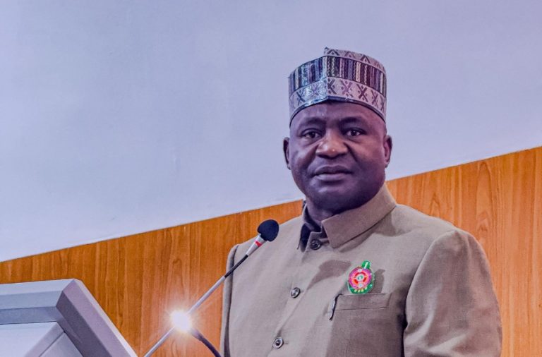 Defence, Interior must act as one to fix Nigeria’s security gaps – Minister