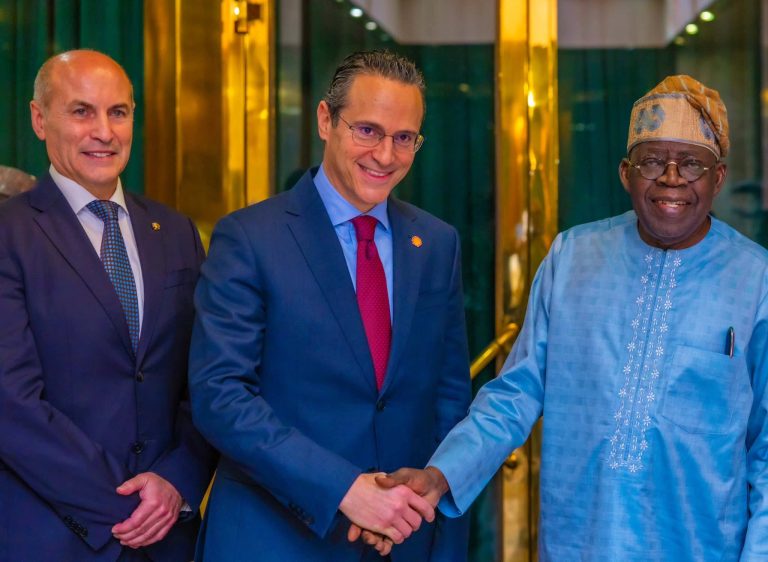Tinubu approves incentives to unlock jobs, FX from Shell’s Bonga South West project — Daily Nigerian