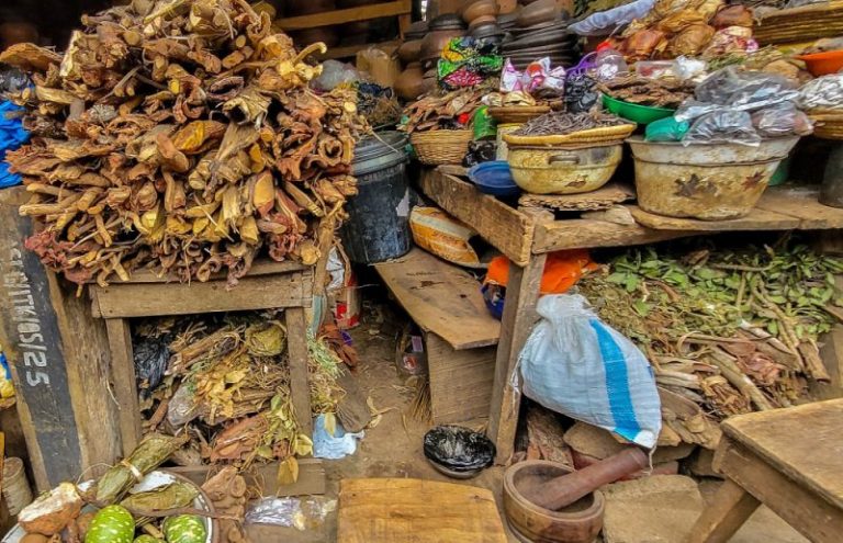 Nigerian govt begins documenting traditional medicine practitioners nationwide — Daily Nigerian