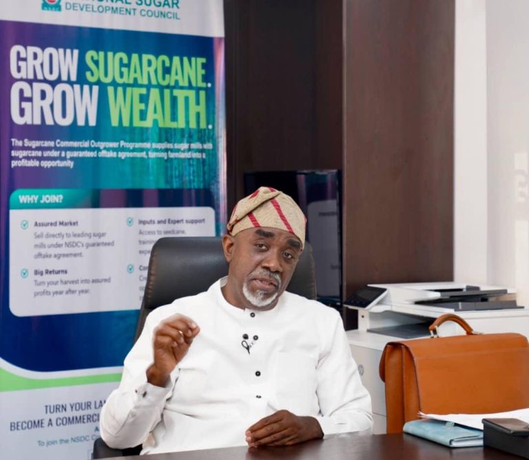 Nigeria to achieve self-sufficiency in sugar production - NSDC Boss, Bakrin
