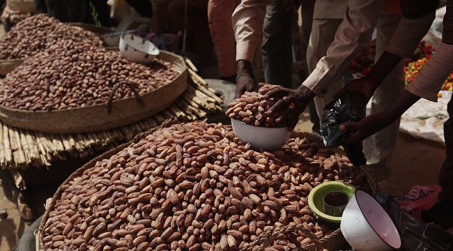 Nigeria’s Non-Oil Exports Revenue Rises To $6.1bn • Channels Television