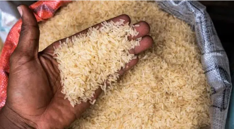 Why Nigerian rice is not globally competitive - FSSS boss, Gabriel