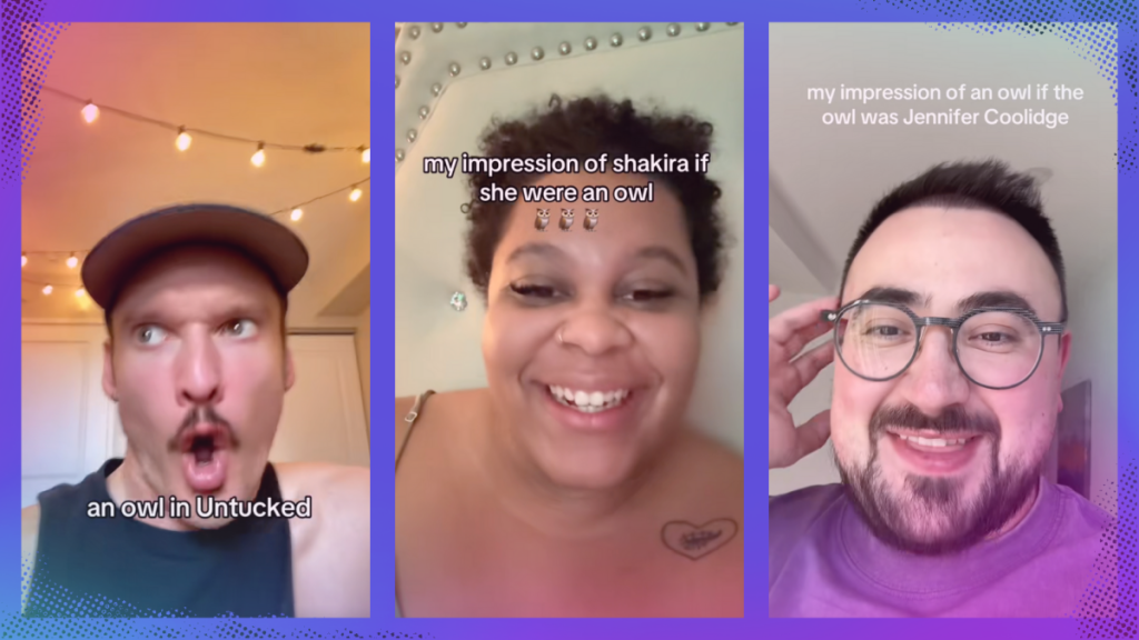 TikTok's new deeply silly trend? Impersonating owls.