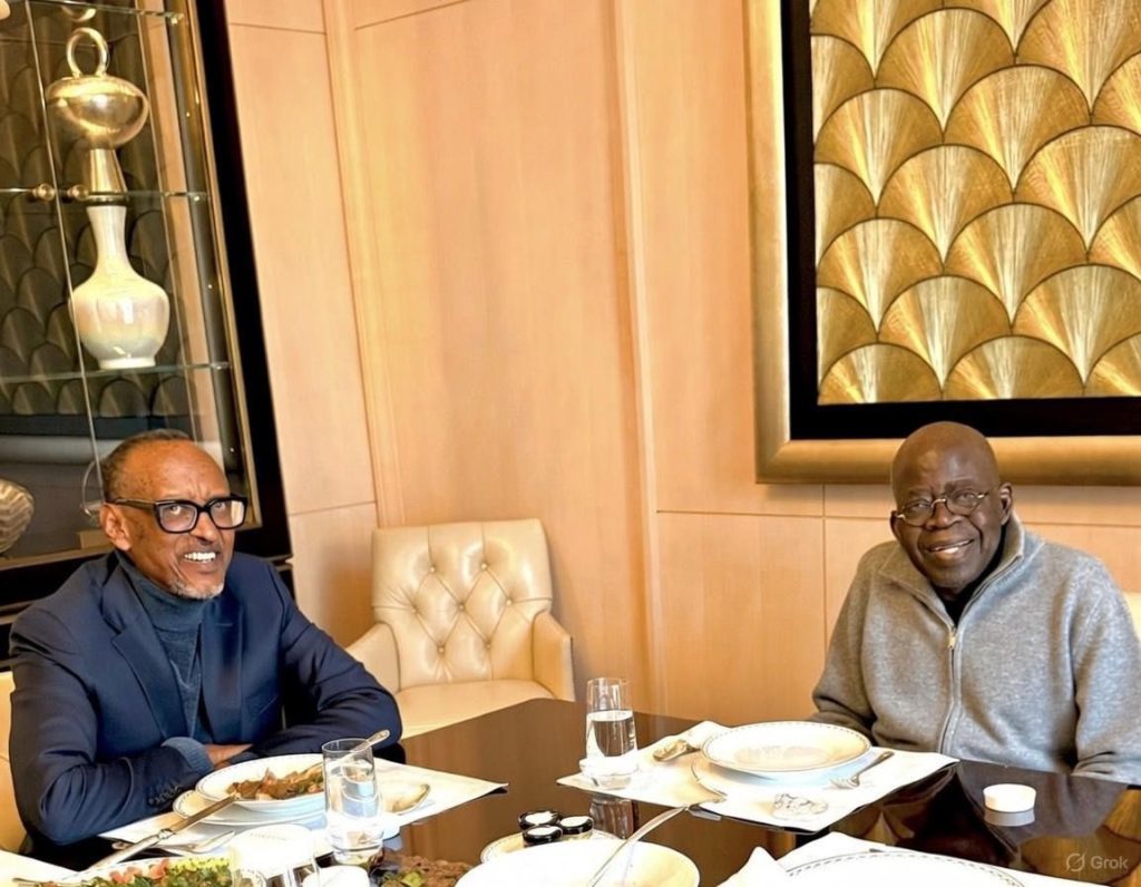 Tinubu–Kagame Paris meeting sparks debate after AI watermark appears on image