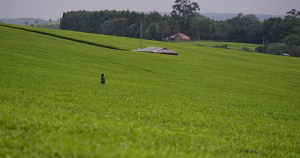 Widows In Kenya Face Eviction And Disinheritance Despite Legal Rights 300x158