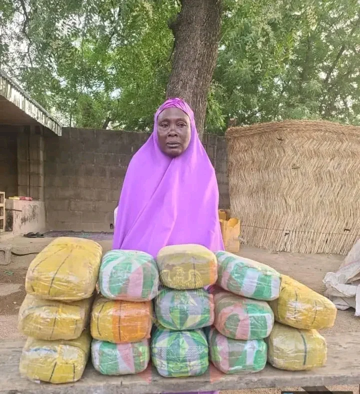 Troops arrest 65-year-old woman over alleged drug supply to Boko Haram in North-East