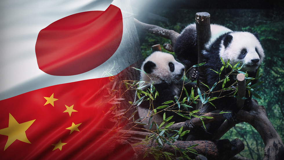 Last pandas in Japan leave for China as relations sour — RT World News