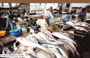 Lagos Markets Urged To Maintain Hygiene Environment 300x193
