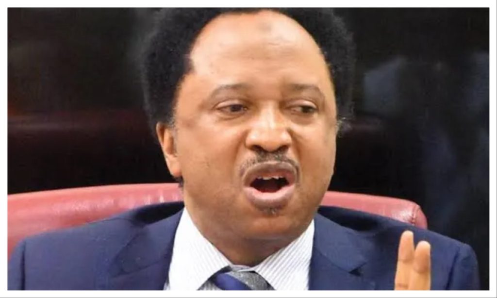 'Nobody has monopoly of madness' - Shehu Sani reacts to Mali, Burkina Faso visa ban on US