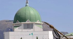 National Assembly To Release Tax Bills For Public Review 300x162