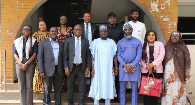 REA, Lotus Bank To Launch Dedicated Renewable Energy Financing Facility • Channels Television