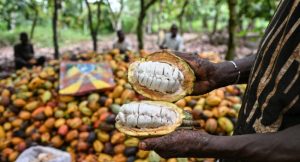 Nigeria Non Oil Exports Surge 21 To 128 Billion.j 300x162