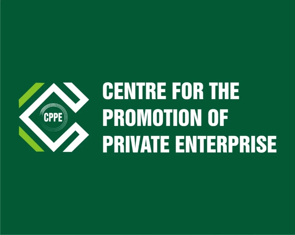 Why Nigeria's new tax law may not succeed - CPPE