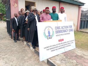 Nigerian Group Sues INEC Over Deregistered Party 300x225