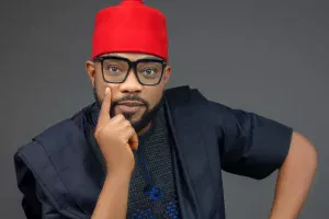 PDP Lawmaker Ikenga Imo Ugochinyere Defects To APP 300x200