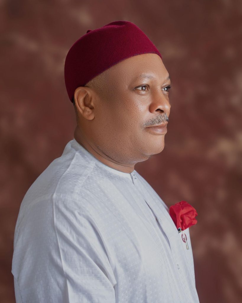 Anyanwu reacts to rumour of leaving PDP, insists report false, baseless 