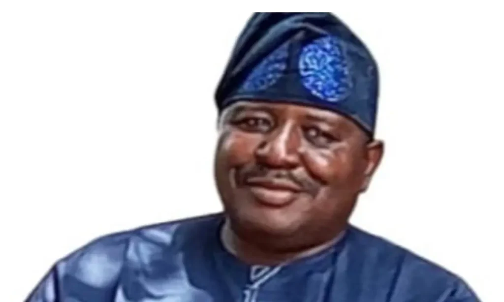 PDP remains strong, resilient — Kaduna chairman, Masha