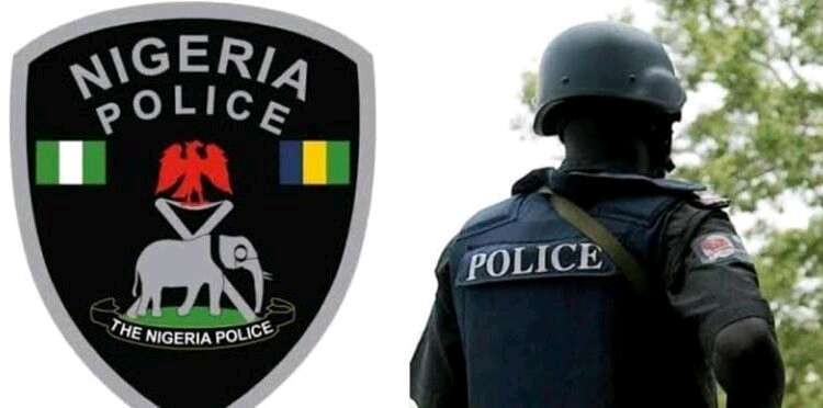 Police officer shoots colleague dead, injures others in Rivers — Daily Nigerian
