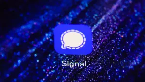 Signal Investigation Sparks Memes About Alternative Chat Platforms 300x169