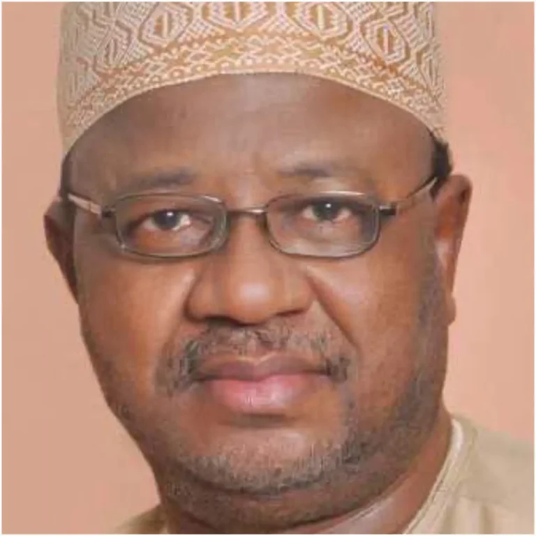 2027: I never met Peter Obi - Umar Ardo on why INEC refused to register ADA