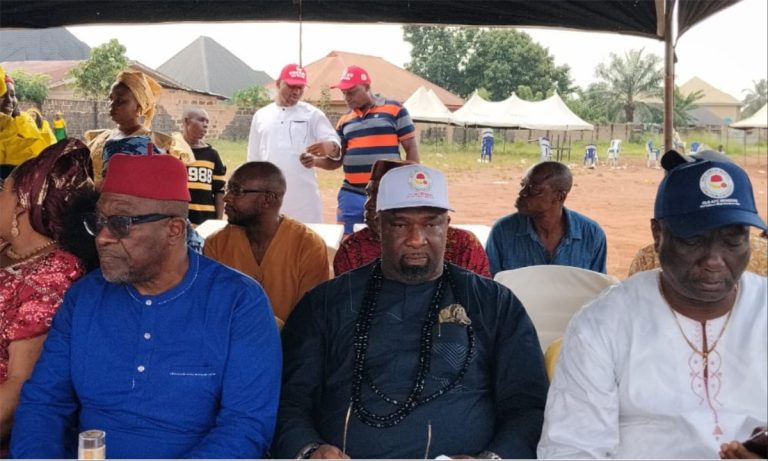 We are excluded from key decision-making, appointments in Delta - APC coalition