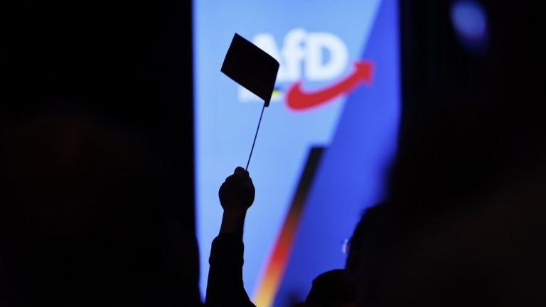 German court blocks move to brand AfD ‘extremist’ — RT World News