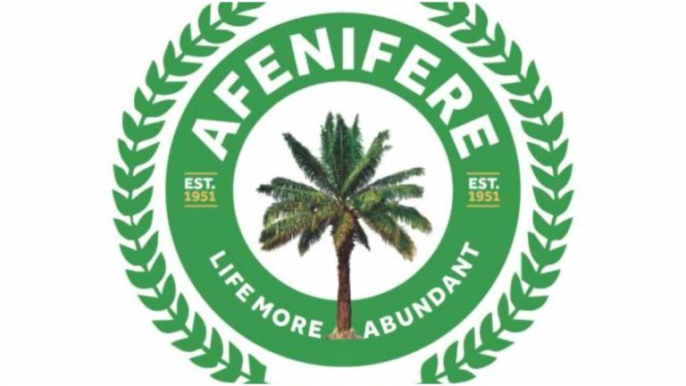 'Yorubaland under threat' - Afenifere raises alarm over banditry, kidnappings