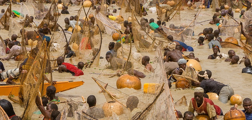 Argungu Fishing Festival winner smiles home with Toyota cars, N1m cash prize — Daily Nigerian