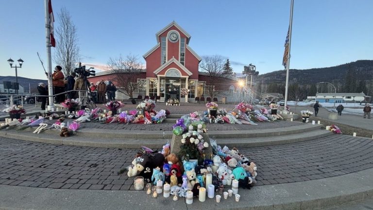 Canadian school shooter was ‘hunting’ victims – police — RT World News