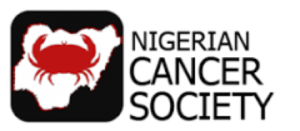 Cancer Care Integration Into Nigeria Primary Care Urged 300x131