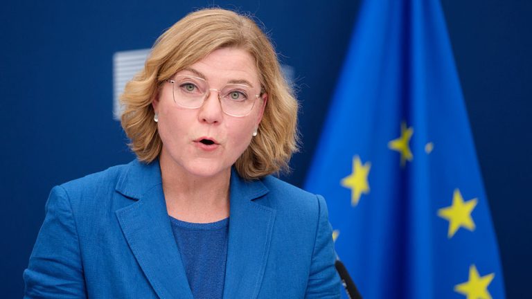 EU calls for offensive cyber capabilities — RT World News
