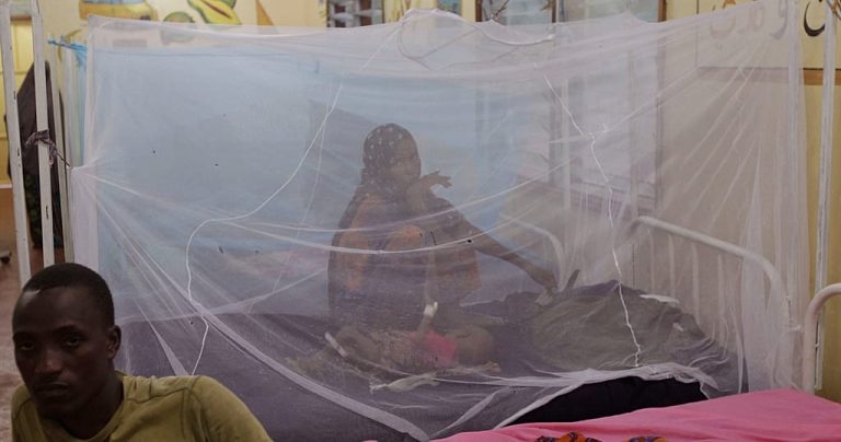 Gates Foundation denies claims it’s behind mosquito surge in Kenya