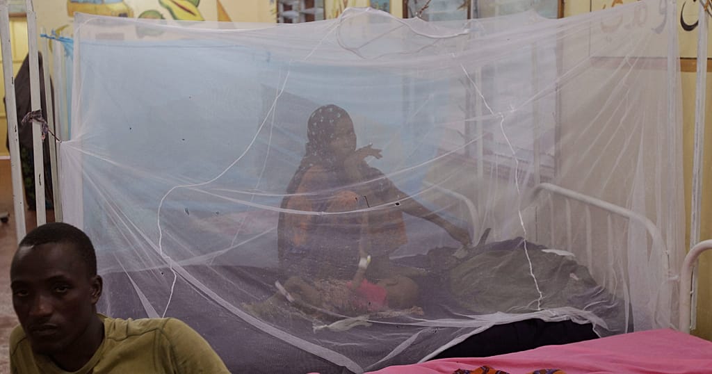 Gates Foundation denies claims it’s behind mosquito surge in Kenya