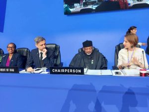IFAD Elects Nigerias Agriculture Minister Kyari As Chair 300x225