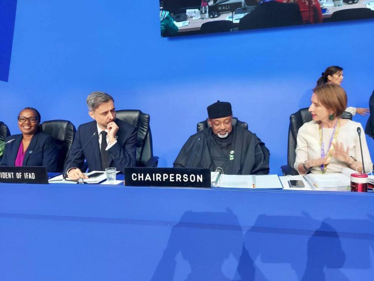Tinubu congratulates Agric Minister Kyari on election as IFAD Governing Council Chair — Daily Nigerian