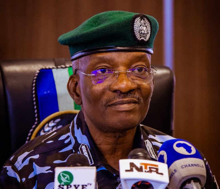 IGP orders deployment of tactical, intelligence assets — Daily Nigerian