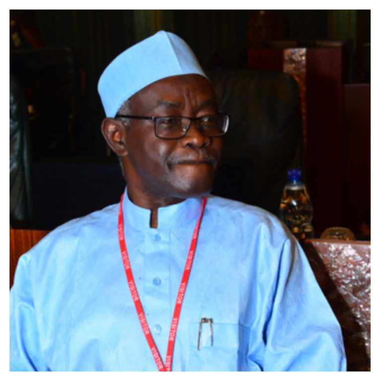 Electoral Act: There will always be glitches - INEC official Haruna