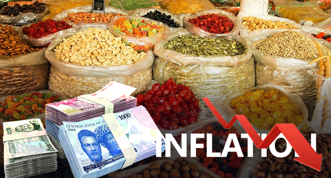 January inflation drop signals macroeconomic stabilisation – CPPE — Daily Nigerian
