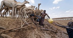 Kenya Drought Spreads Beyond North 10 Counties Alert 300x158
