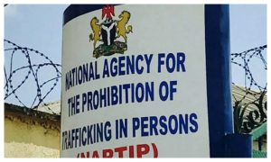 NAPTIP Reunites 10 Trafficked Minors With Parents In Taraba 300x180