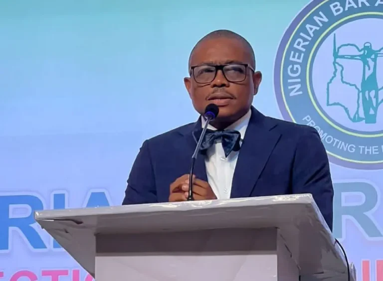 Judges, magistrates tools in hands of politicians - NBA President, Osigwe