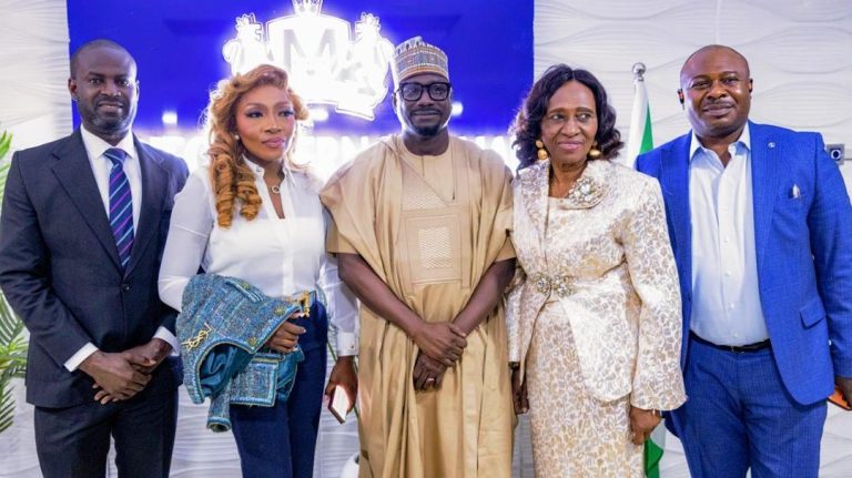 1.1 million households electrified under NEP - Nigerian govt