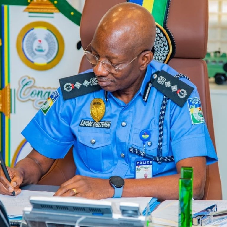 Nigeria Police Force records largest promotion as 26,122 officers get new ranks — Daily Nigerian
