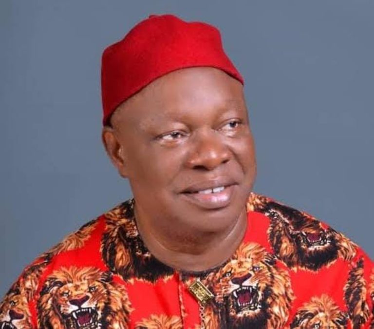 SAN cautions over false claims on Ngwo status in Enugu LG, clarifies court position