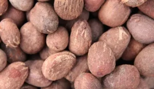 Tinubu Extends Raw Shea Nuts Export Ban To Boost Processing 300x174