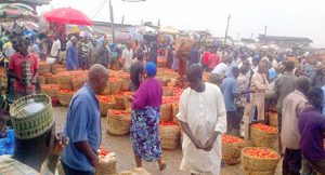 Tomato Prices To Drop In Nigeria Ramadan Amid Bumper Harvest 300x162