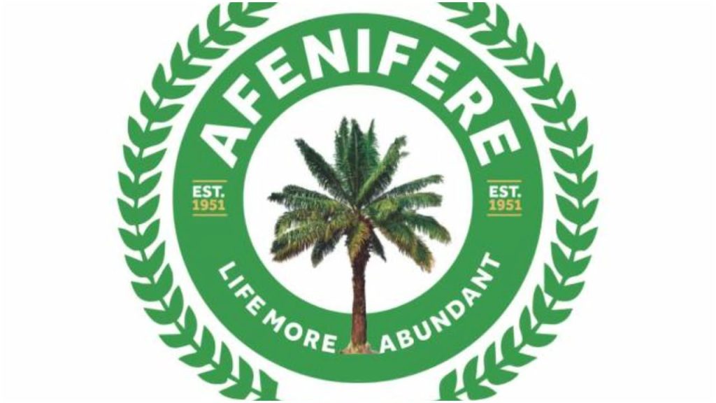 'Yorubaland under threat' - Afenifere raises alarm over banditry, kidnappings